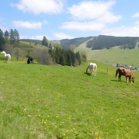 Ferienwohnung Bergahorn Todtnauberg Εξωτερικό φωτογραφία